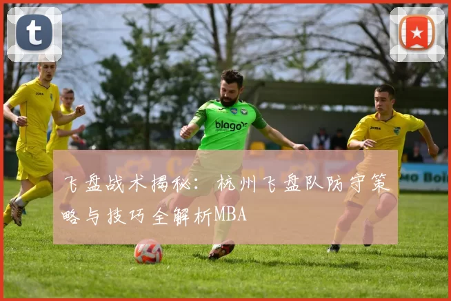 飞盘战术揭秘：杭州飞盘队防守策略与技巧全解析MBA